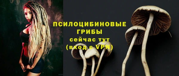 героин Алзамай
