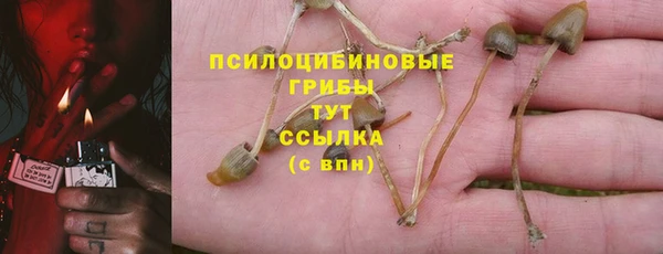 кокаин колумбия Алексин