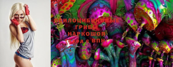 стаф Алексеевка